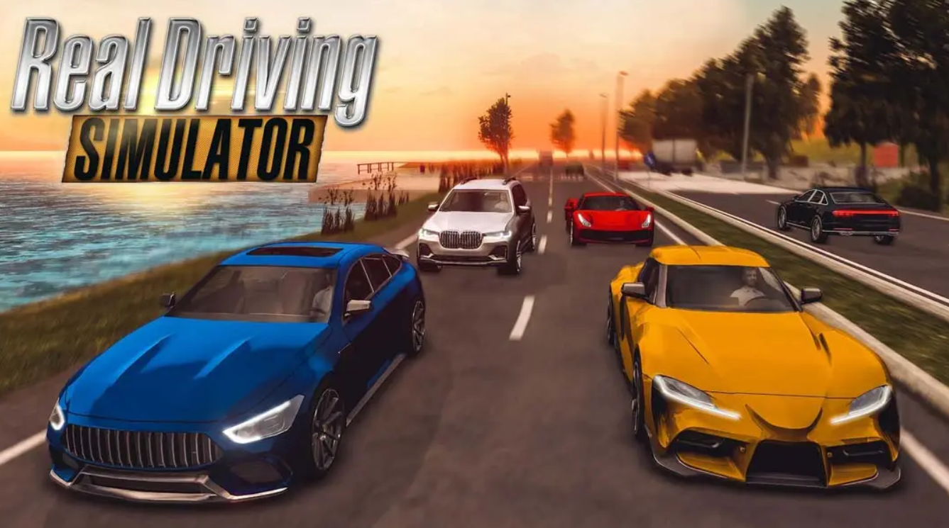 《真实驾驶模拟 Real Driving Sim》Switch英文+1.0.0补丁